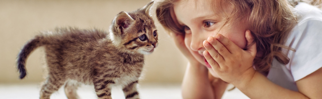 bambina vicina a gattino